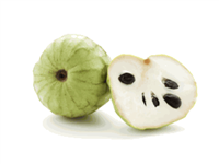 Where to Buy Cherimoya