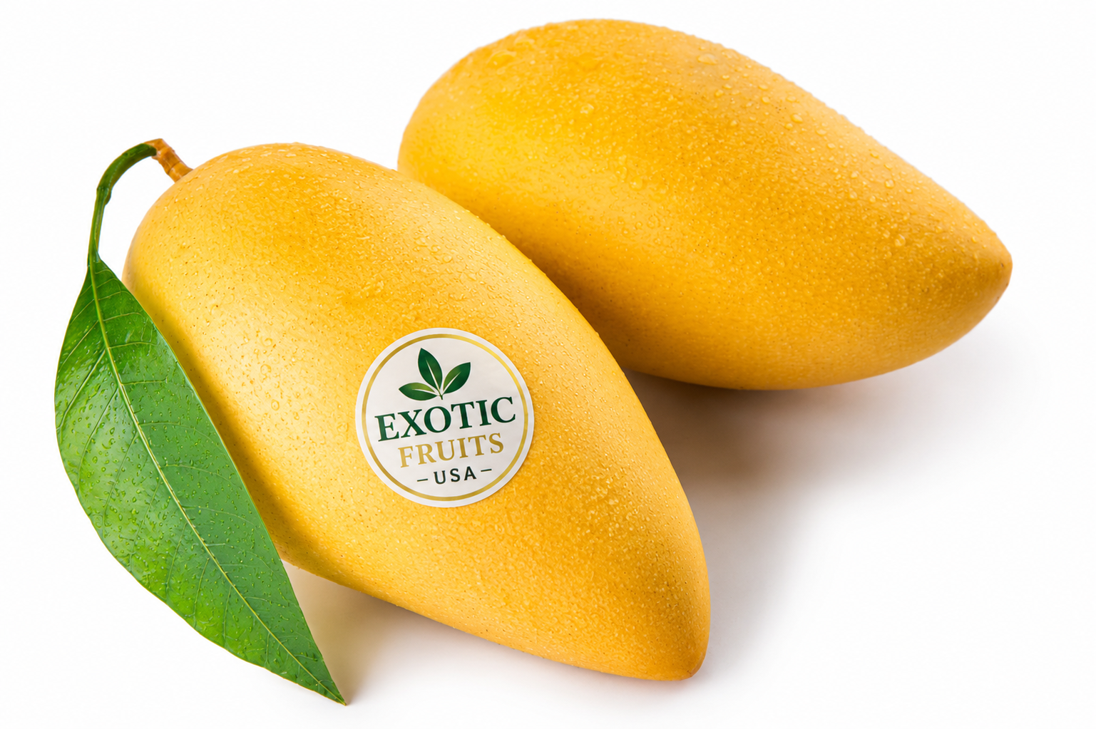 Organic Ataulfo Mangoes, also known as Honey Mangoes or Champagne Mangoes