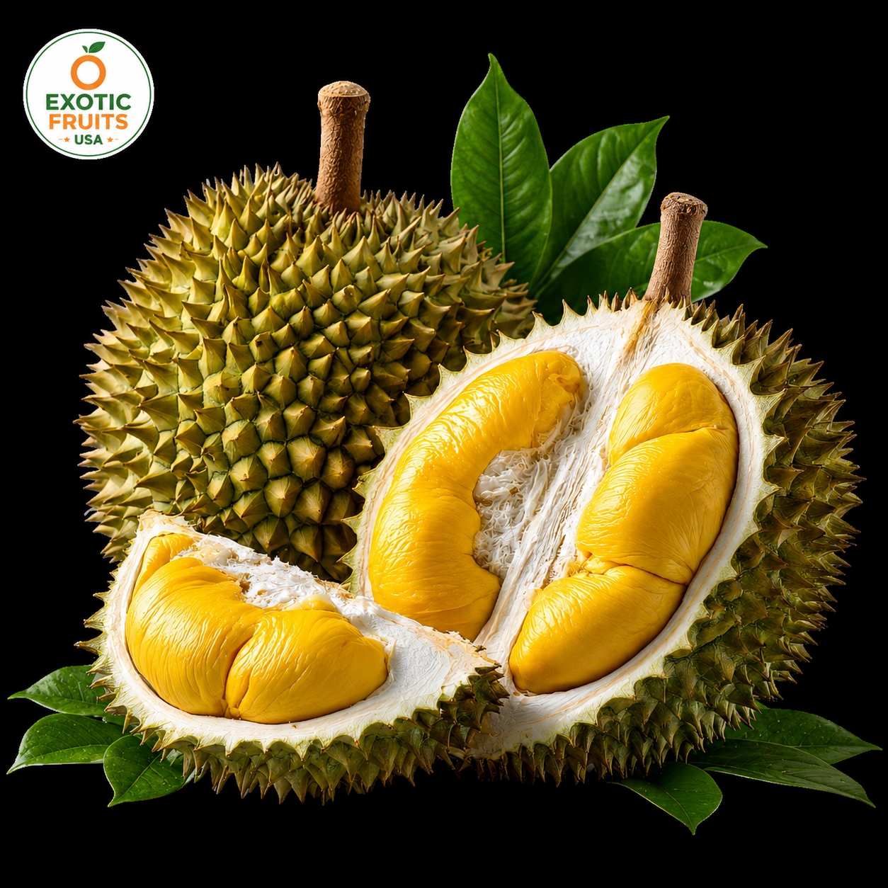 Buy Fresh Durian Online | King of Fruits USA