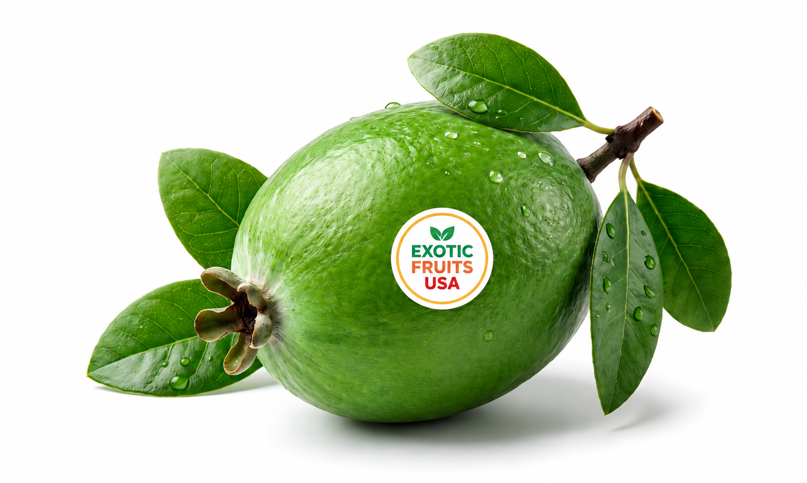 buy Guava | buy feijoa| buy pineapple guava