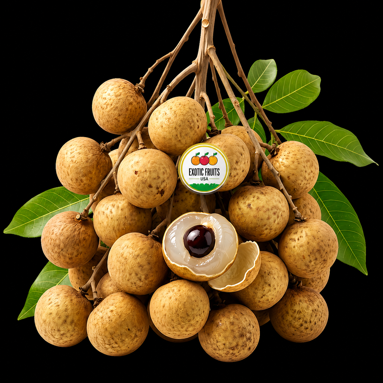 Buy Fresh Longans Online – Premium Natural Love Tonic | Exotic Fruits USA