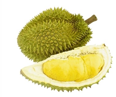 "King of Fruits"Durian