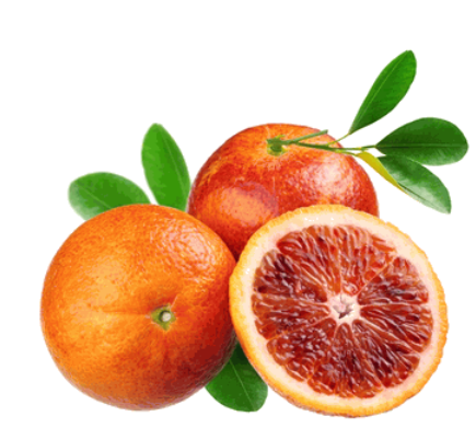 Shop Blood Orange-Exotic Fruits USA