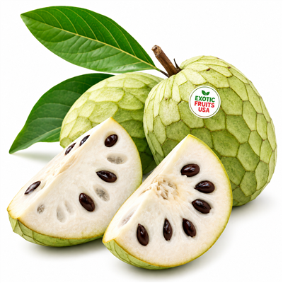12 Fresh Cherimoya Fruits â€“ Exotic Fruits USA