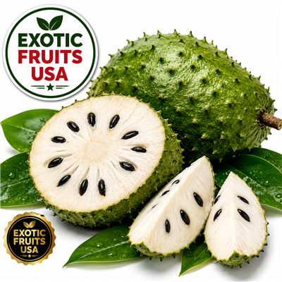 Graviola | buy graviola |Graviola fruit online