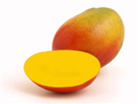 Exotic fruits USA bring the juiciest and flavorful natural delicacies of Haden Mangos