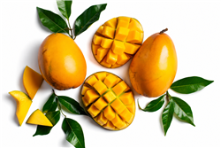 Kent Mangoes