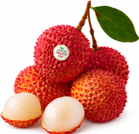 Litchi Large box