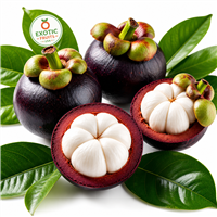 Mangosteen Fruits