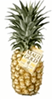 Maui Pineapple,Home of Maui Pineapple USA,buy Maui Pineapple,buy Maui Pineapples
