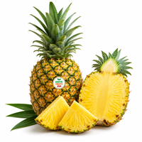 Maui Pineapple,Home of Maui Pineapple USA,buy Maui Pineapple,buy Maui Pineapples