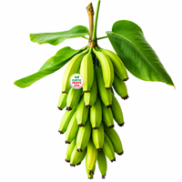 Buy plantains,Buy plantains Banana,Buy plantains Banana Online