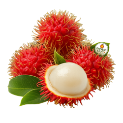 RAMBUTAN Fruits