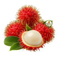 Cheap Price Rambutans