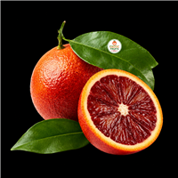 Buy Fresh Sanguinello Blood Oranges Online | Premium Seasonal Citrus