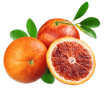 Sanguinello blood oranges