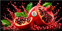 Southern Hemisphere Pomegranates