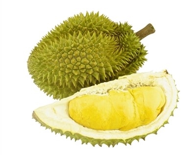 Buy Fresh durian fruit Online Today- Exotic Fruits USA