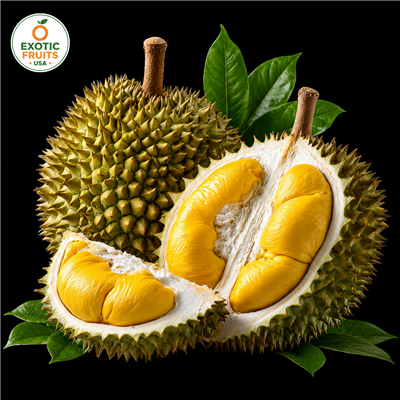 Buy Fresh durian fruit Online Today- Exotic Fruits USA