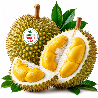 Buy Fresh durian fruit Online Today- Exotic Fruits USA