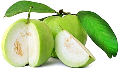 Asian Guava Fruit