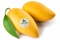 Premium Organic Ataulfo Mango Online | Premium Honey Mangoes