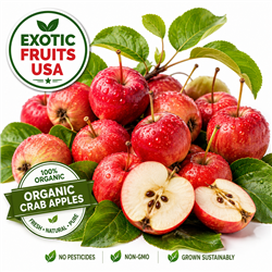 Organic Fresh crab apples Near me