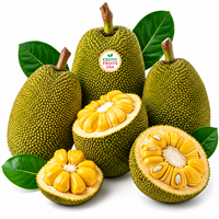 buy Tropical Jack fruit Box today