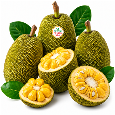 buy Tropical Jack fruit Box today