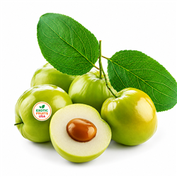 Fresh Jujube Fruit - Exotic Fruits USA