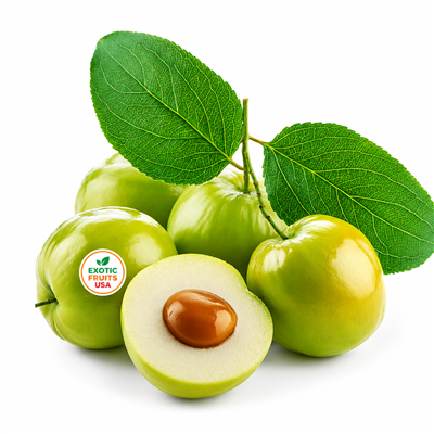 Fresh Jujube Fruit - Exotic Fruits USA