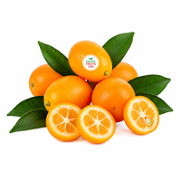 KumQuat  Fresh KumQuat  near me