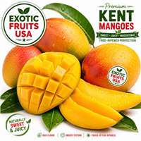 Fresh Kent Mangoes