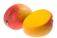 Fresh Kent  Mangoes  Box Large