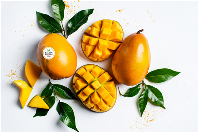 Fresh Kent  Mangoes  Box Large
