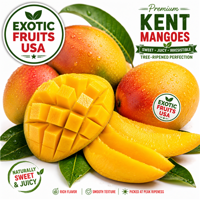 Fresh Kent  Mangoes  Box Large