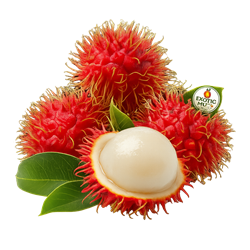 Tropical red rambutan fruits